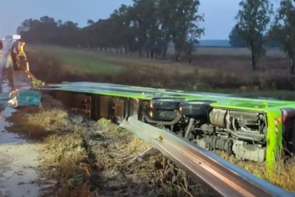 Carmen de Areco: un micro cayó desde un puente sobre la Ruta 7 en medio del temporal y hay al menos 20 heridos