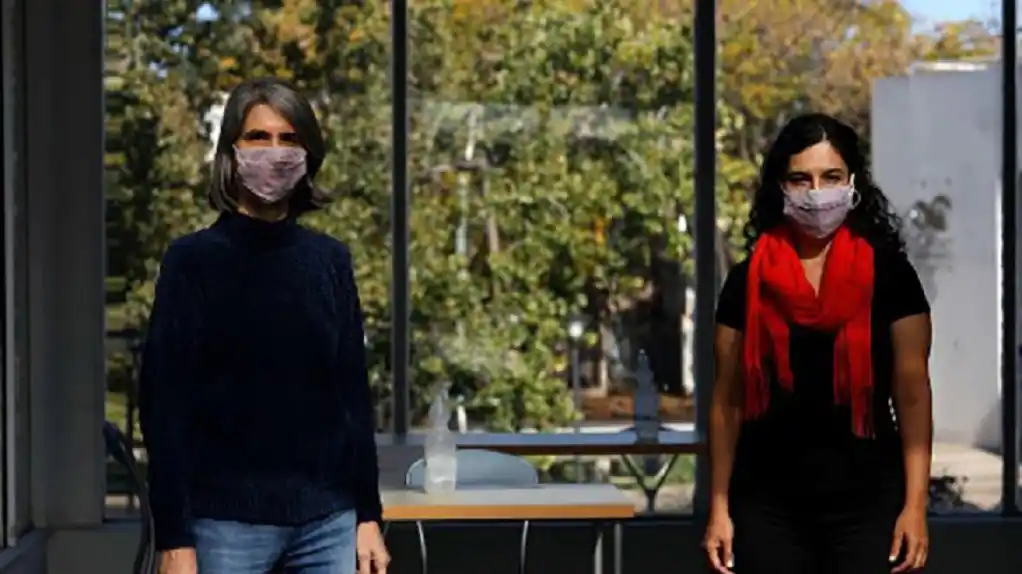 Con un modelo matemático estudian la coinfección simultánea con dengue y Covid-19