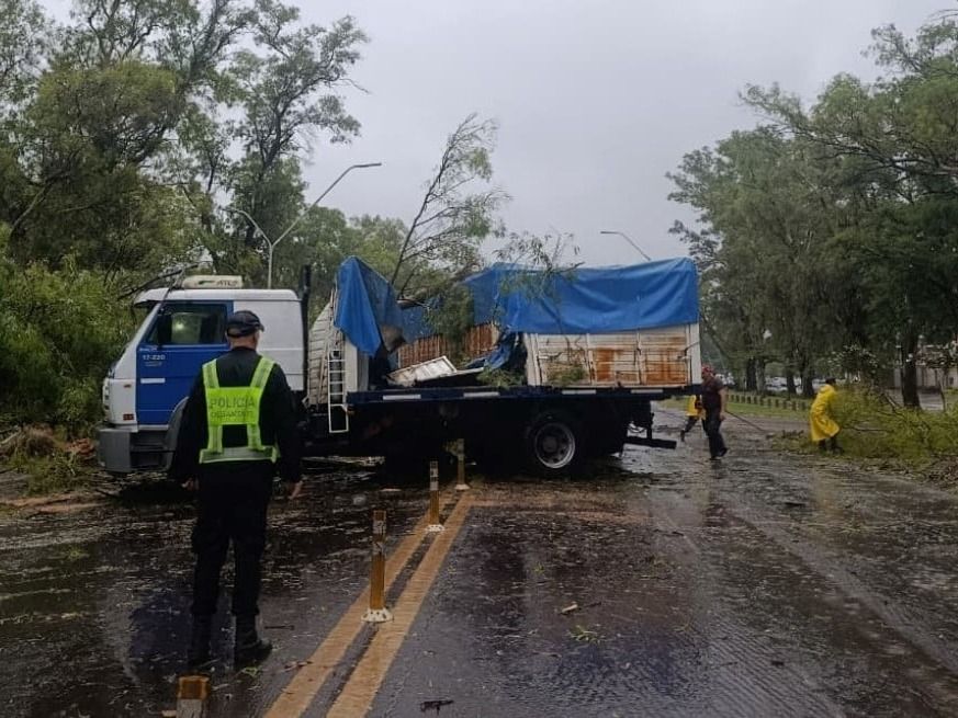 Un eucalipto cayó sobre un camión en la RN 11, frente al Hospital Nuevo Reconquista.
