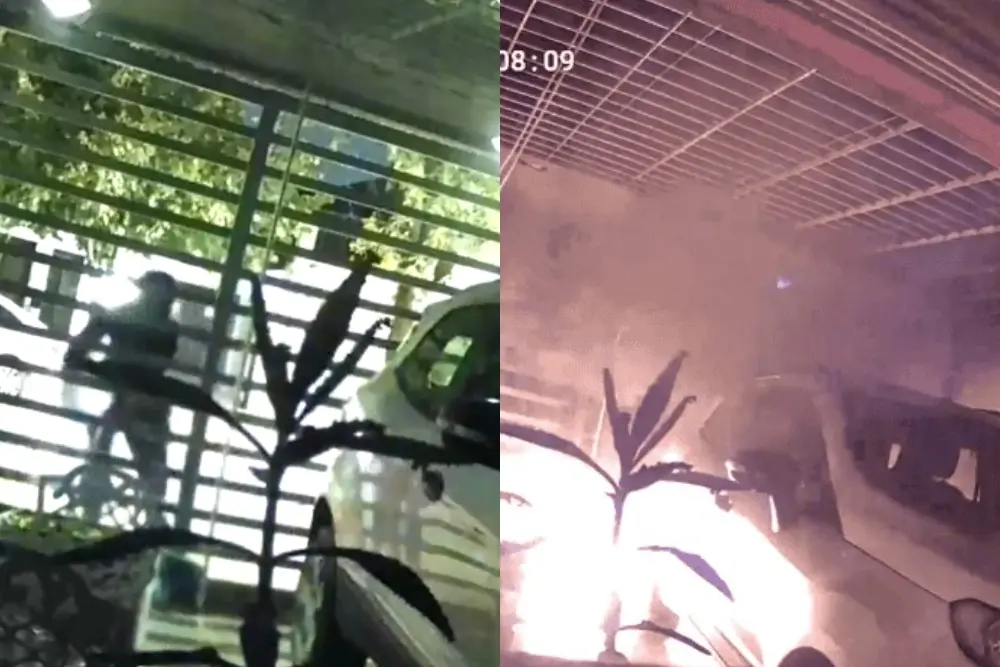 Video: así provocaron un incendio en una cochera de Echesortu