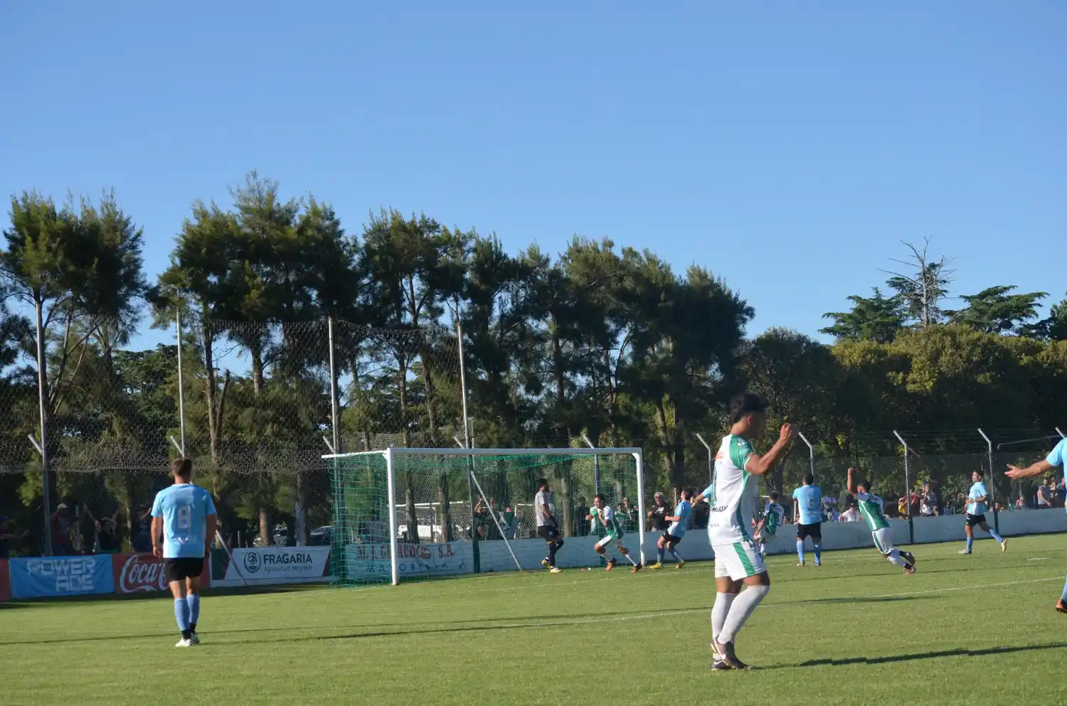 Todos los números de la Liga Venadense.