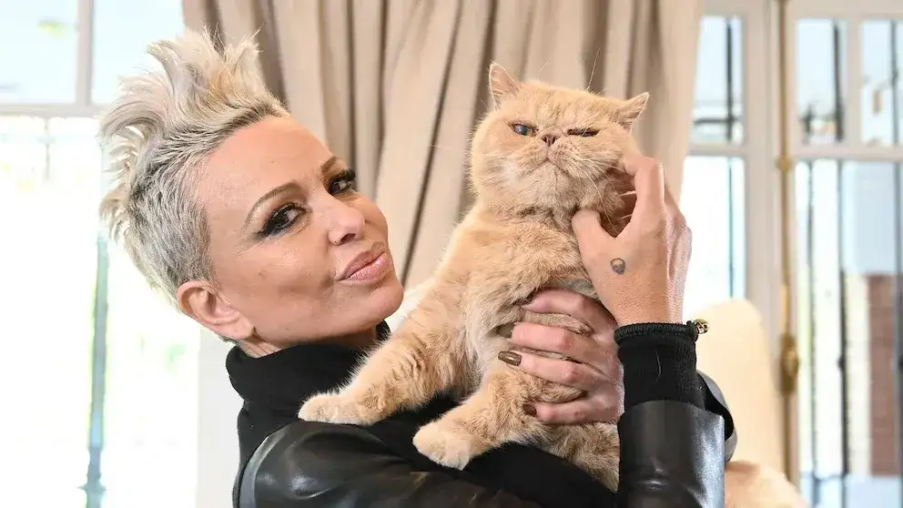 Los gatos persas embalsamados de Daniela Cardone están guardados en una vitrina y no expuestos al aire libre para evitar su deterioro