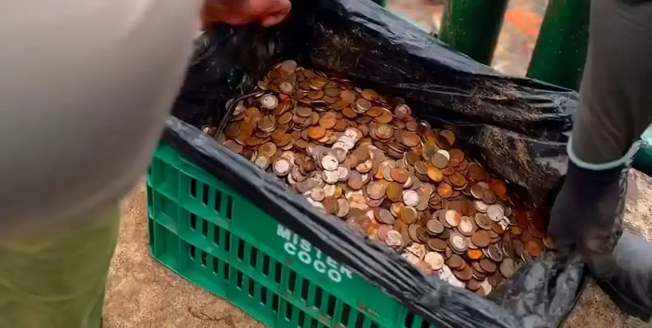 Aunque para el turista el acto de lanzar una moneda termina en segundos, para la fauna acuática es el inicio de un proceso tóxico.