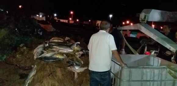 Pesca indiscriminada: el debate sobre tamaño y especies sacadas del río