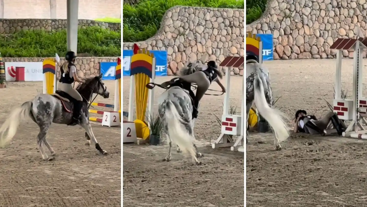 Evangelina Anderson sufrió un fuerte accidente en plena competencia de equitación: ¿qué le pasó?