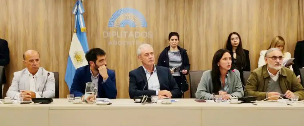 Fuerte rechazo a los planes oficiales