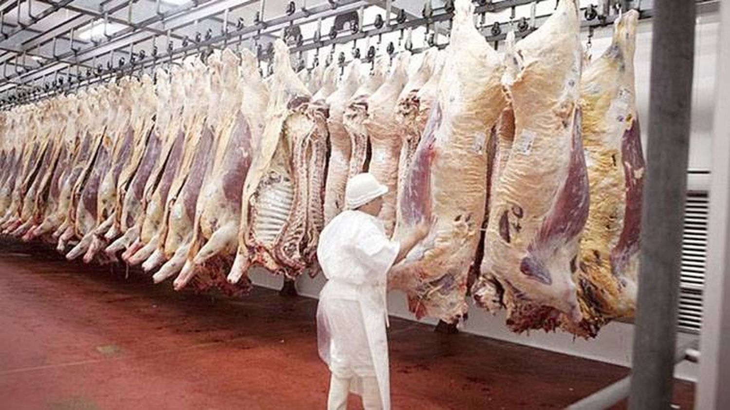 Estiman que las exportaciones de carne vacuna superarían este año las 900.000 toneladas