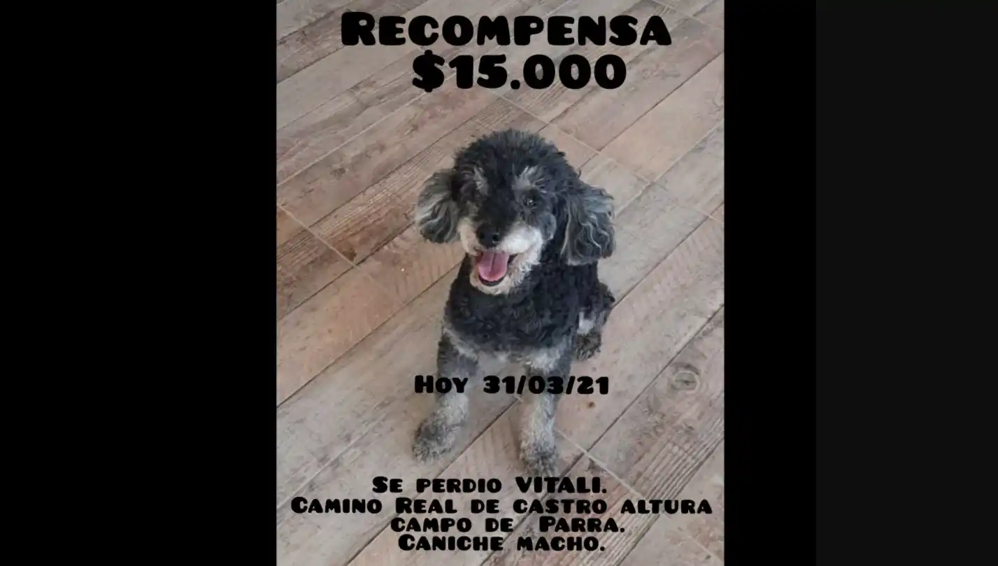 Buscan a Vitali