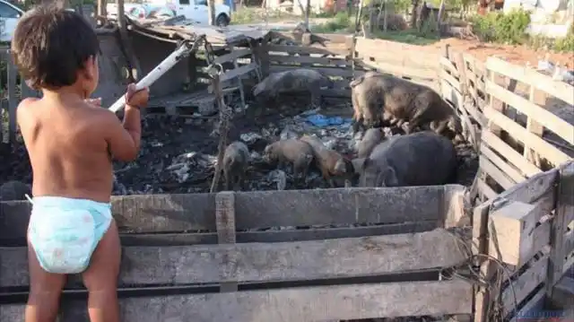 Más de 1,5 millones de chicos pasan hambre en Argentina