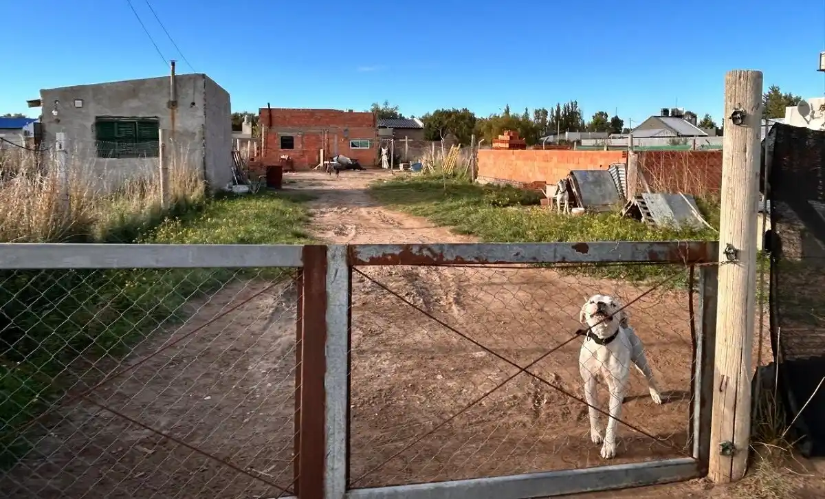 Fotos: Pablo Noir - La Brújula 24