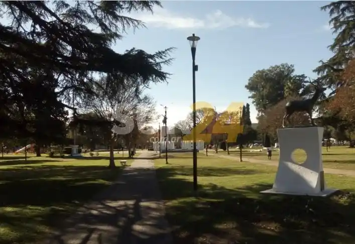 Covid-19: Venado Tuerto volvió a superar este jueves los 200 contagios diarios