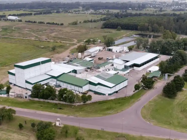 En crisis. La industria frigorífica también comienza con despidos masivos.