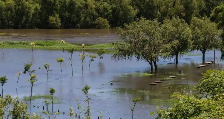 Creciente: El río a 2 centímetros del alerta