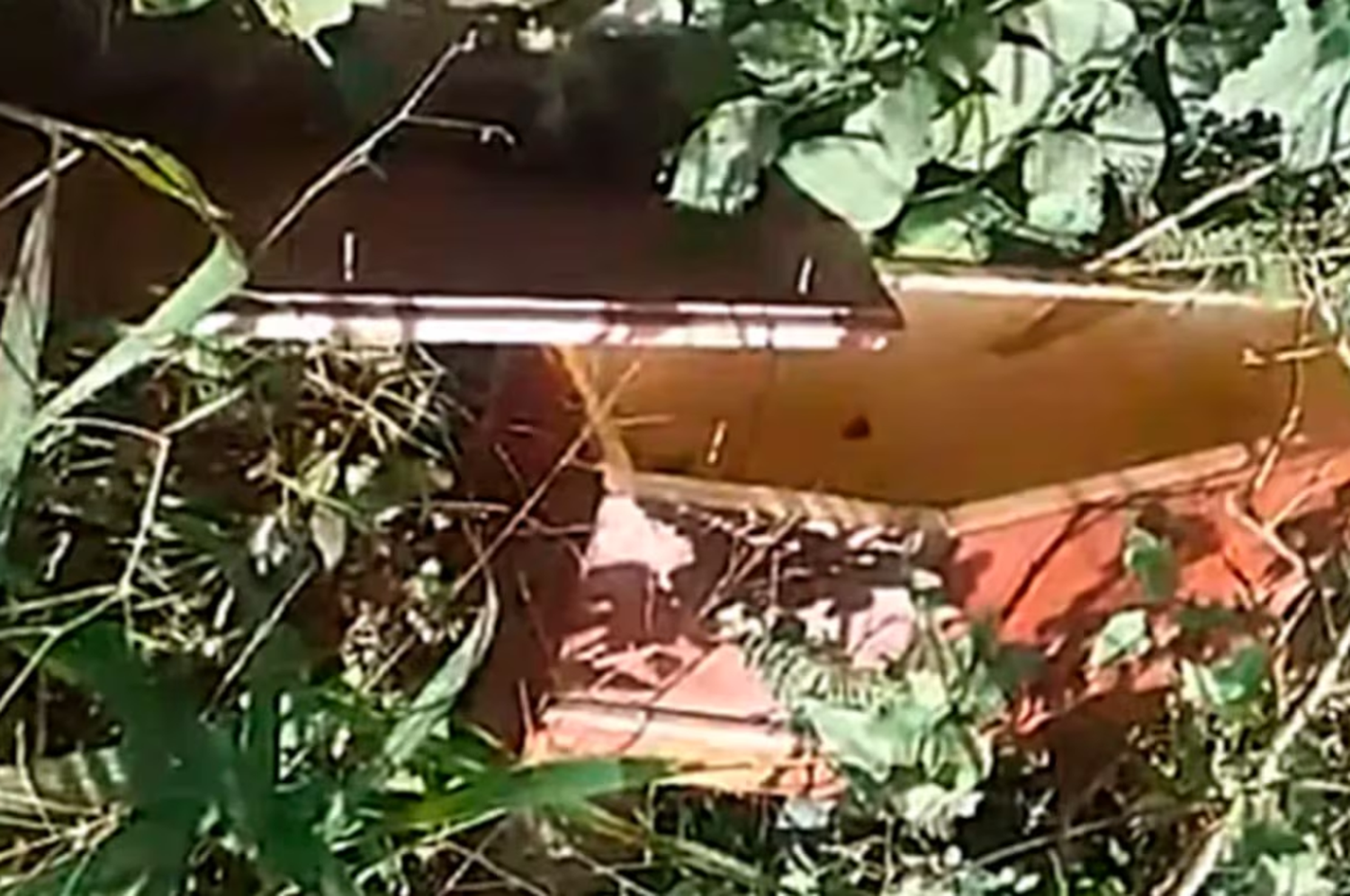 El ferétro encontrado