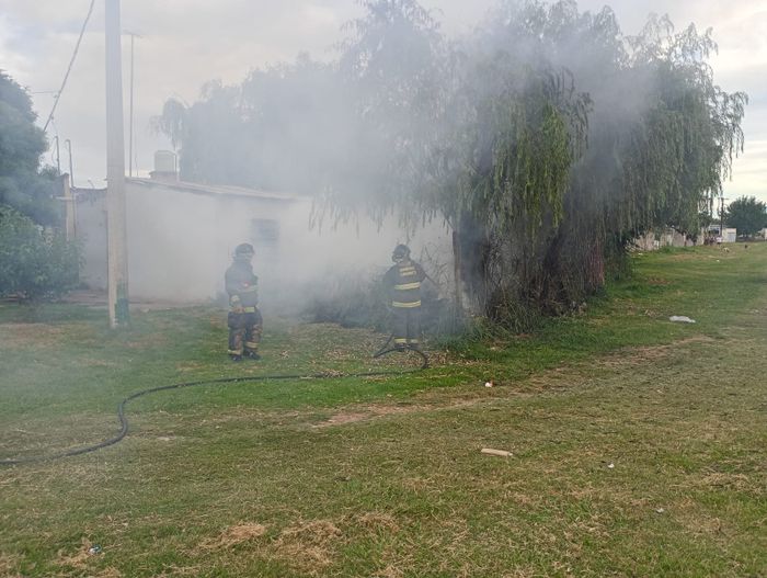 Fuego en el patio de una casa: un montón de pasto y basura ardieron en una tarde calurosa  Champagnat al 700 - 2