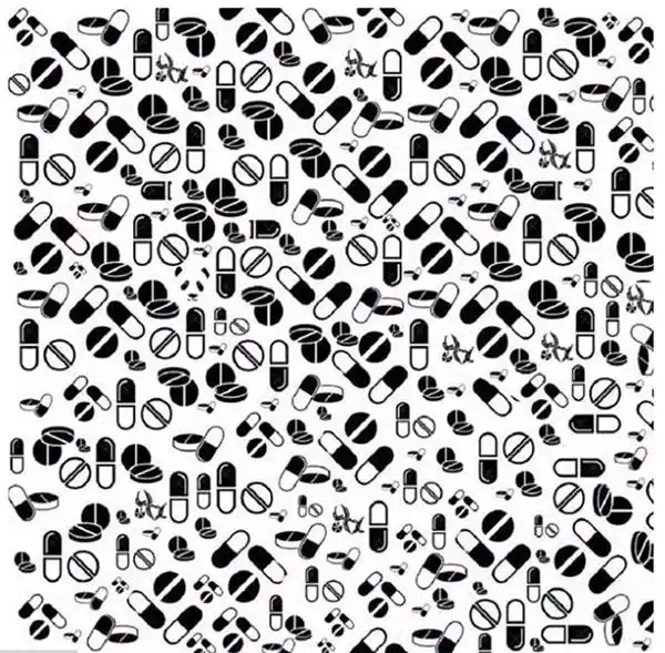 Desafío visual monocromático: ¿dónde está el oso panda?