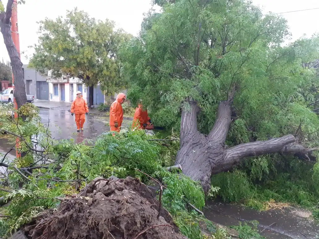 Temporal en el interior: aún hay evacuados y trabajan en remover árboles caídos y reparar daños