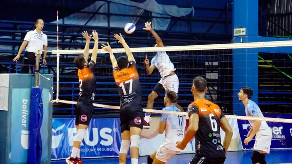 Dieron por finalizada la Liga Argentina de Voley por la pandemia de coronavirus