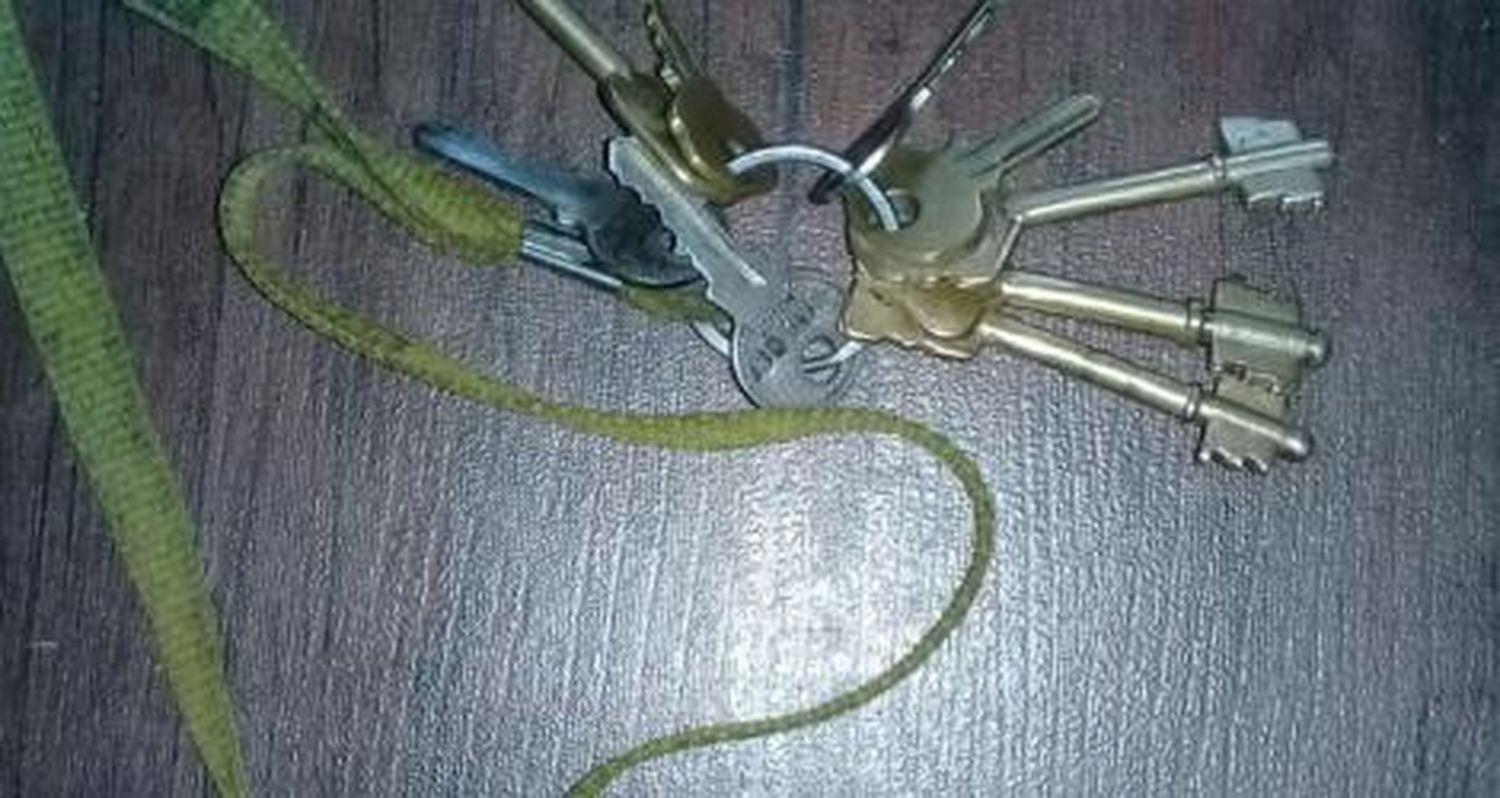 Llaves encontradas por la Escuela 6