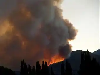 Se incendia el Parque Nacional Los Alerces
