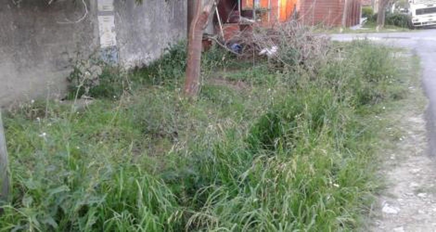 ¿A quién le corresponde limpiar este basural?