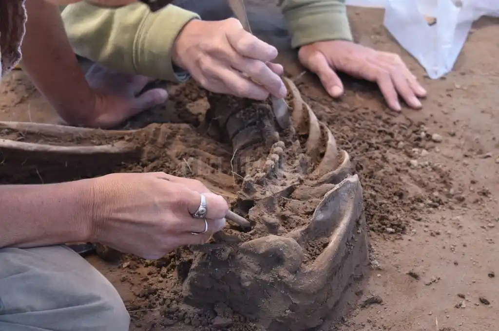Nuevo hallazgo arqueológico en San Eduardo
