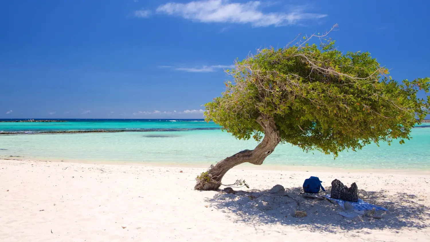 Viajá con Micky - Aruba con a de alegría y de aventura