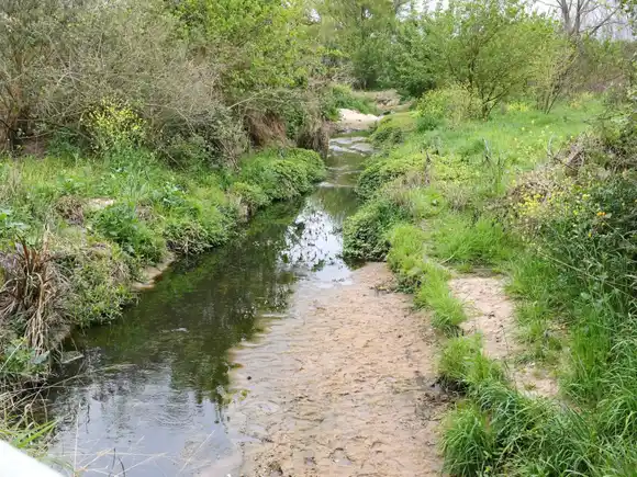 Jornada de limpieza comunitaria por el día mundial de los humedales