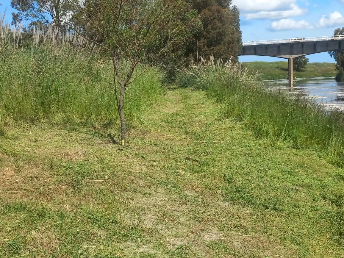 Así luce la senda peatonal, fue abierta por integrantes de la Comarca del Río Quequén Salado
