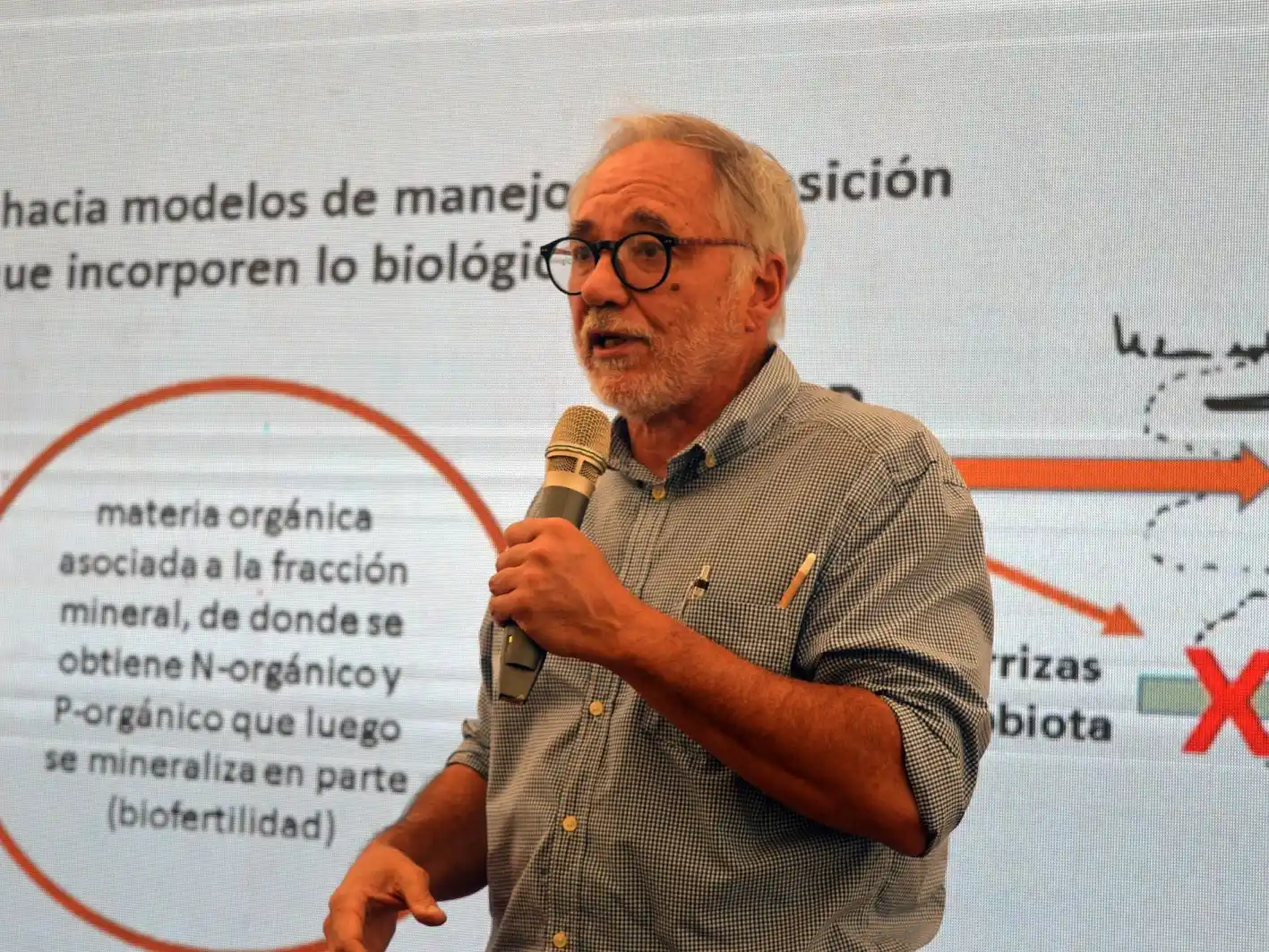 Dr. Luis Wall, investigador del Conicet,