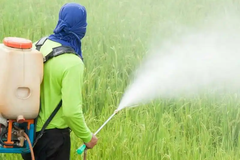 Agrotóxicos: Rosario se convirtió en el primer gran centro urbano en prohibir totalmente el uso del glifosato