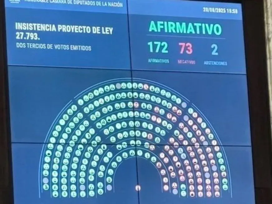 De los cuatro vetos a tratarse en la sesión de este miércoles, el de Discapacidad era el que contaba con más chances de ser ratificado por el pleno.
