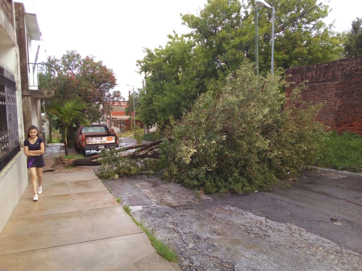 El intenso temporal de lluvia y viento generó graves consecuencias en Victoria