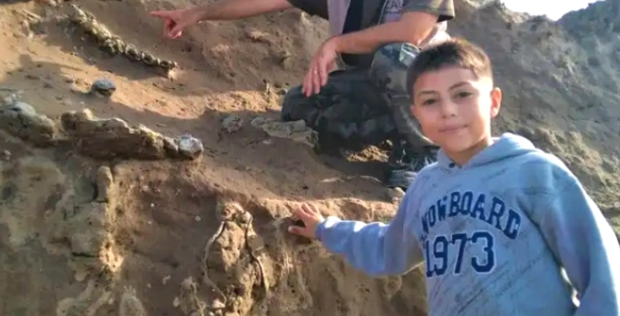 Miramar: un niño de ocho años encontró fósiles de un perezoso gigante