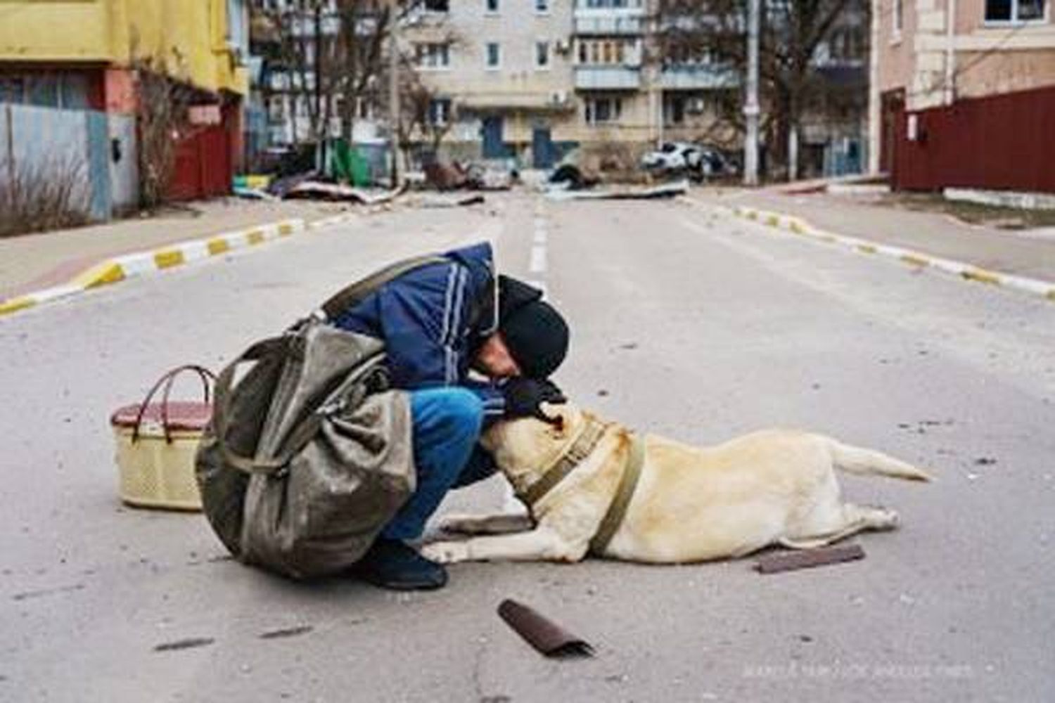 Un hombre trata de consolar a su perro paralizado de miedo en una calle de Irpin