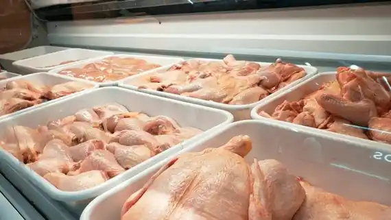 La sobreoferta de pollo por el cierre de las exportaciones bajó los precios y disparó el consumo