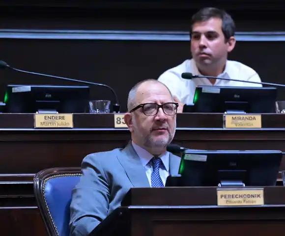 "Creo que de alguna manera, Francisco no vino porque nunca se fue", dijo Perechodnik, diputado por La Plata