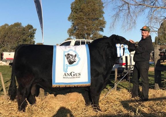 Se puso en marcha la Exposición Rural de Dorrego