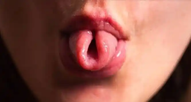 ¿Tienes facilidad de doblar la lengua?, esto es lo que significa