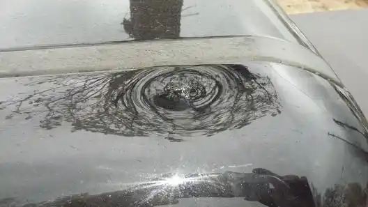 Saladillo: Cartel cayó sobre dos autos y el Frente Renovador pagará daños