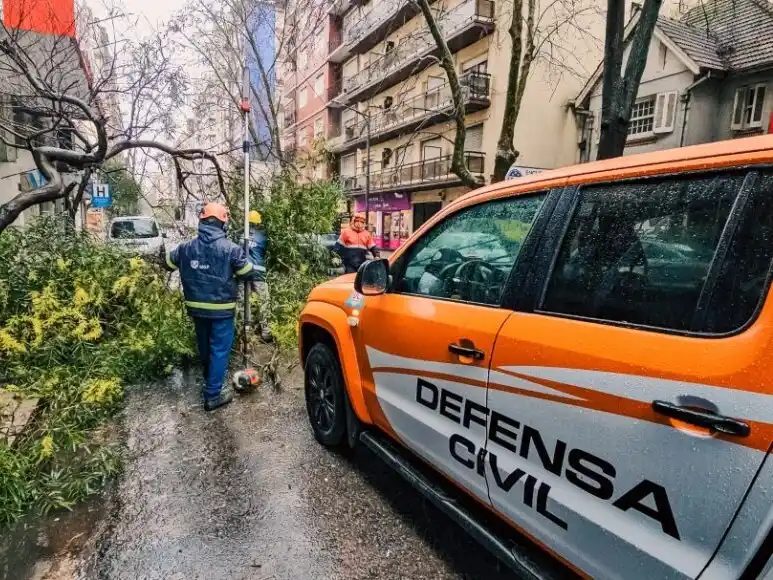 A esto se sumaron ocho intervenciones de Obras Sanitarias en bocas de tormenta.