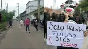 Batalla campal entre carniceros y veganos a las trompadas frente a un frigorífico