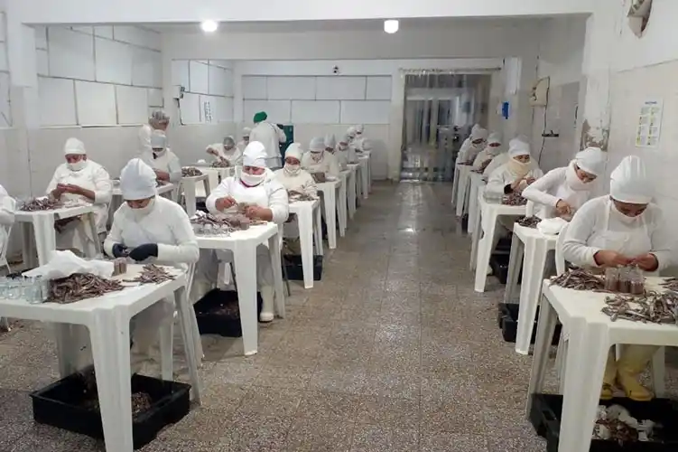 Engraucoop: cómo atravesaron la pandemia y la producción