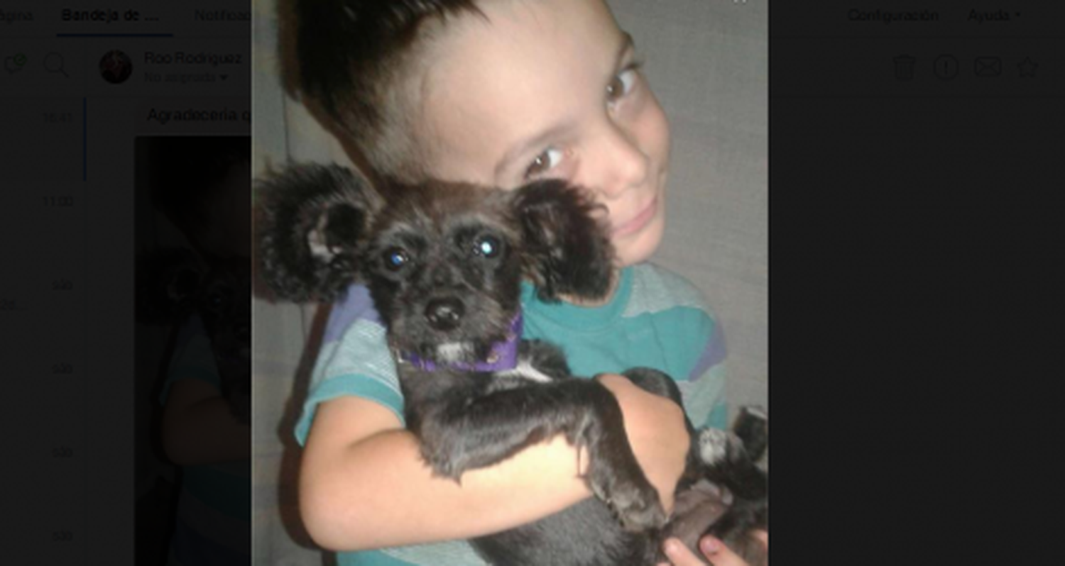 Buscan a esta perrita