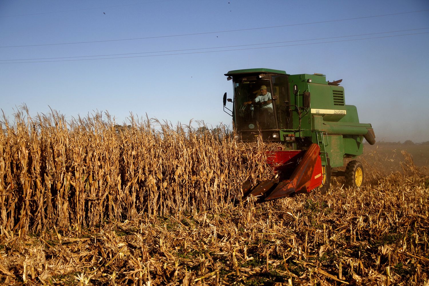 La Provincia de Buenos Aires creció un 17% en exportaciones de cereales durante el 2018 