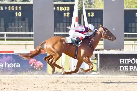 Potrancas de Selección en Palermo