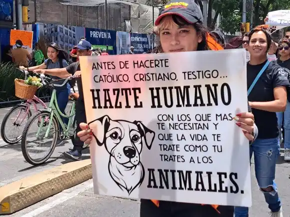 Fiscal Tarek William Saab: en Venezuela el maltrato animal se castiga con cárcel y pago de multas