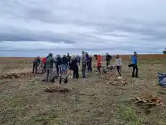 Plantación de árboles en comunidad: un impulso a la permacultura