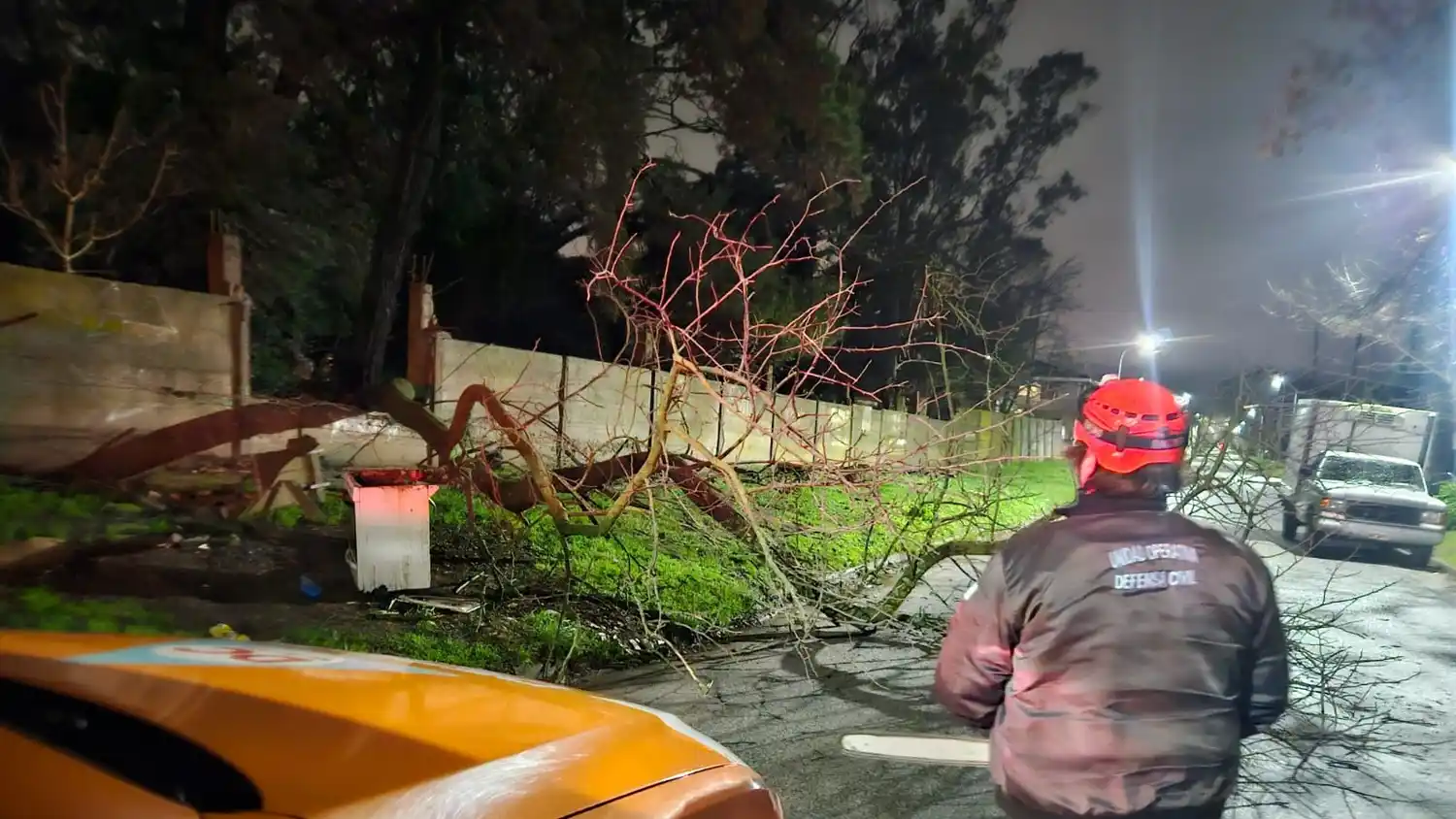 El temporal que azotó a Mar del Plata durante dos días dejó un saldo de anegamientos en la periferia y múltiples caídas de árboles en distintos puntos de la ciudad.