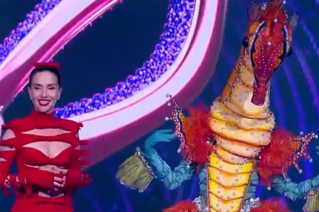 ¿Quién es la Máscara?: el hipocampo fue el segundo eliminado